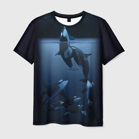 Мужская футболка 3D с принтом касатки в Новосибирске, 100% полиэфир | прямой крой, круглый вырез горловины, длина до линии бедер | ocean | orca | sea | sea animal | дельфин | касатка | кит | море | океан | рисунок кита
