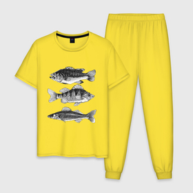 Мужская пижама хлопок с принтом караси в Курске, 100% хлопок | брюки и футболка прямого кроя, без карманов, на брюках мягкая резинка на поясе и по низу штанин
 | ocean | sea | sea animal | графика | карась | море | океан | река | рисунок рыбы | рыба | рыбалка