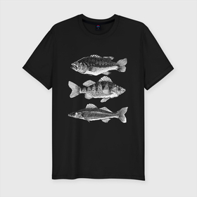 Мужская футболка хлопок Slim с принтом караси в Санкт-Петербурге, 92% хлопок, 8% лайкра | приталенный силуэт, круглый вырез ворота, длина до линии бедра, короткий рукав | ocean | sea | sea animal | графика | карась | море | океан | река | рисунок рыбы | рыба | рыбалка