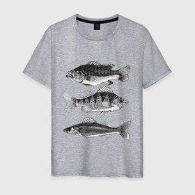 Мужская футболка хлопок с принтом караси в Белгороде, 100% хлопок | прямой крой, круглый вырез горловины, длина до линии бедер, слегка спущенное плечо. | Тематика изображения на принте: ocean | sea | sea animal | графика | карась | море | океан | река | рисунок рыбы | рыба | рыбалка
