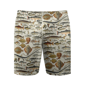 Мужские шорты спортивные с принтом рыбный паттерн в Екатеринбурге,  |  | ocean | sea | киты | море | морские мотивы | морской принт | морской фон | океан | паттерн | рыбы | текстуры