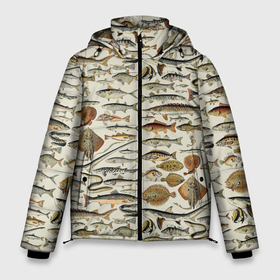 Мужская зимняя куртка 3D с принтом рыбный паттерн в Екатеринбурге, верх — 100% полиэстер; подкладка — 100% полиэстер; утеплитель — 100% полиэстер | длина ниже бедра, свободный силуэт Оверсайз. Есть воротник-стойка, отстегивающийся капюшон и ветрозащитная планка. 

Боковые карманы с листочкой на кнопках и внутренний карман на молнии. | ocean | sea | киты | море | морские мотивы | морской принт | морской фон | океан | паттерн | рыбы | текстуры
