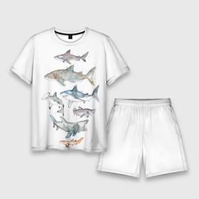 Мужской костюм с шортами 3D с принтом акулы в Курске,  |  | ocean | sea | sea animal | акварель | акула | море | океан | рисунок