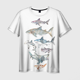 Мужская футболка 3D с принтом акулы в Екатеринбурге, 100% полиэфир | прямой крой, круглый вырез горловины, длина до линии бедер | ocean | sea | sea animal | акварель | акула | море | океан | рисунок