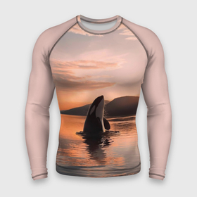 Мужской рашгард 3D с принтом касатки на закате в Кировске,  |  | Тематика изображения на принте: ocean | orca | sea | sea animal | дельфин | закат | касатка | кит | море | океан | рисунок кита