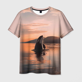 Мужская футболка 3D с принтом касатки на закате в Новосибирске, 100% полиэфир | прямой крой, круглый вырез горловины, длина до линии бедер | ocean | orca | sea | sea animal | дельфин | закат | касатка | кит | море | океан | рисунок кита
