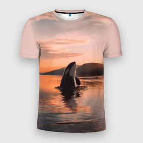 Мужская футболка 3D спортивная с принтом касатки на закате в Тюмени, 100% полиэстер с улучшенными характеристиками | приталенный силуэт, круглая горловина, широкие плечи, сужается к линии бедра | Тематика изображения на принте: ocean | orca | sea | sea animal | дельфин | закат | касатка | кит | море | океан | рисунок кита