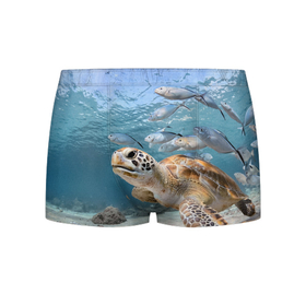Мужские трусы 3D с принтом Морская черепаха в Санкт-Петербурге, 50% хлопок, 50% полиэстер | классическая посадка, на поясе мягкая тканевая резинка | море | морская | океан | подводный мир | рыбы | черепаха