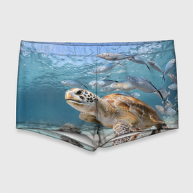 Мужские купальные плавки 3D с принтом Морская черепаха в Санкт-Петербурге, Полиэстер 85%, Спандекс 15% |  | море | морская | океан | подводный мир | рыбы | черепаха