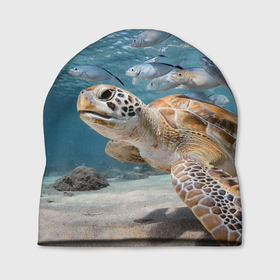 Шапка 3D с принтом Морская черепаха в Екатеринбурге, 100% полиэстер | универсальный размер, печать по всей поверхности изделия | море | морская | океан | подводный мир | рыбы | черепаха