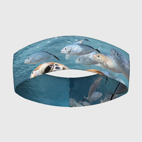 Повязка на голову 3D с принтом Морская черепаха в Белгороде,  |  | море | морская | океан | подводный мир | рыбы | черепаха