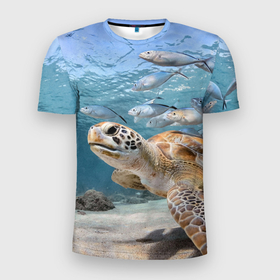 Мужская футболка 3D спортивная с принтом Морская черепаха , 100% полиэстер с улучшенными характеристиками | приталенный силуэт, круглая горловина, широкие плечи, сужается к линии бедра | Тематика изображения на принте: море | морская | океан | подводный мир | рыбы | черепаха