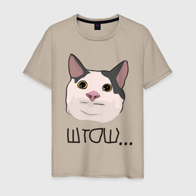 Мужская футболка хлопок с принтом ШТОШ в Санкт-Петербурге, 100% хлопок | прямой крой, круглый вырез горловины, длина до линии бедер, слегка спущенное плечо. | кот | меме | прикол | штош | юмор