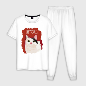 Мужская пижама хлопок с принтом котик ШТОШ , 100% хлопок | брюки и футболка прямого кроя, без карманов, на брюках мягкая резинка на поясе и по низу штанин
 | Тематика изображения на принте: кот | меме | прикол | штош | юмор