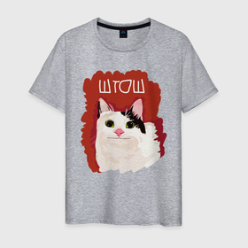 Мужская футболка хлопок с принтом котик ШТОШ в Рязани, 100% хлопок | прямой крой, круглый вырез горловины, длина до линии бедер, слегка спущенное плечо. | кот | меме | прикол | штош | юмор