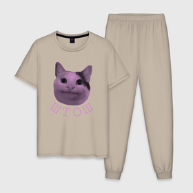 Мужская пижама хлопок с принтом штош , 100% хлопок | брюки и футболка прямого кроя, без карманов, на брюках мягкая резинка на поясе и по низу штанин
 | Тематика изображения на принте: кот | меме | прикол | штош | юмор