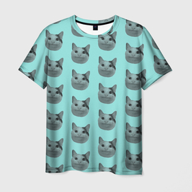 Мужская футболка 3D с принтом ШТОШ в Тюмени, 100% полиэфир | прямой крой, круглый вырез горловины, длина до линии бедер | Тематика изображения на принте: кот | меме | прикол | штош | юмор