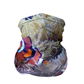 Бандана-труба 3D с принтом Клоуны в актинии в Екатеринбурге, 100% полиэстер, ткань с особыми свойствами — Activecool | плотность 150‒180 г/м2; хорошо тянется, но сохраняет форму | актиния | клоуны | коралловые | море | подводный мир | рыбки