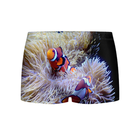 Мужские трусы 3D с принтом Клоуны в актинии в Тюмени, 50% хлопок, 50% полиэстер | классическая посадка, на поясе мягкая тканевая резинка | актиния | клоуны | коралловые | море | подводный мир | рыбки