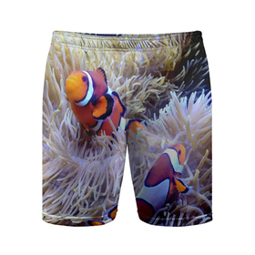 Мужские шорты спортивные с принтом Клоуны в актинии в Кировске,  |  | актиния | клоуны | коралловые | море | подводный мир | рыбки
