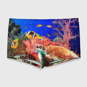Мужские купальные плавки 3D с принтом Морская черепаха в Курске, Полиэстер 85%, Спандекс 15% |  | кораллы | море | морская черепаха | подводный мир | рыбки