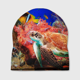 Шапка 3D с принтом Морская черепаха в Санкт-Петербурге, 100% полиэстер | универсальный размер, печать по всей поверхности изделия | кораллы | море | морская черепаха | подводный мир | рыбки