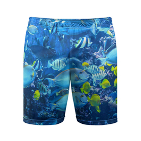 Мужские шорты спортивные с принтом Коралловые рыбки в Кировске,  |  | коралловые | море | подводный мир | рыбки