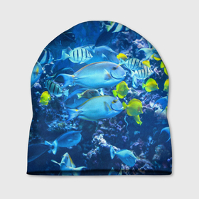 Шапка 3D с принтом Коралловые рыбки , 100% полиэстер | универсальный размер, печать по всей поверхности изделия | коралловые | море | подводный мир | рыбки