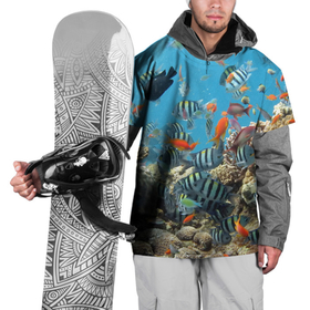 Накидка на куртку 3D с принтом Коралловые рыбки в Новосибирске, 100% полиэстер |  | коралловые | кораллы | море | подводный мир | рыбки