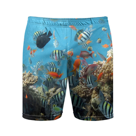 Мужские шорты спортивные с принтом Коралловые рыбки в Петрозаводске,  |  | Тематика изображения на принте: коралловые | кораллы | море | подводный мир | рыбки