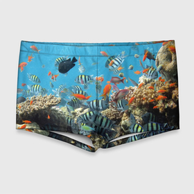 Мужские купальные плавки 3D с принтом Коралловые рыбки в Кировске, Полиэстер 85%, Спандекс 15% |  | коралловые | кораллы | море | подводный мир | рыбки