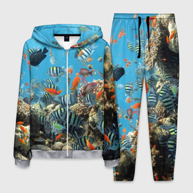 Мужской костюм 3D с принтом Коралловые рыбки в Санкт-Петербурге, 100% полиэстер | Манжеты и пояс оформлены тканевой резинкой, двухслойный капюшон со шнурком для регулировки, карманы спереди | Тематика изображения на принте: коралловые | кораллы | море | подводный мир | рыбки
