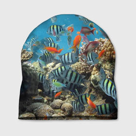 Шапка 3D с принтом Коралловые рыбки , 100% полиэстер | универсальный размер, печать по всей поверхности изделия | коралловые | кораллы | море | подводный мир | рыбки