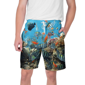 Мужские шорты 3D с принтом Коралловые рыбки ,  полиэстер 100% | прямой крой, два кармана без застежек по бокам. Мягкая трикотажная резинка на поясе, внутри которой широкие завязки. Длина чуть выше колен | коралловые | кораллы | море | подводный мир | рыбки