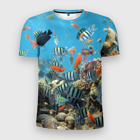 Мужская футболка 3D Slim с принтом Коралловые рыбки в Петрозаводске, 100% полиэстер с улучшенными характеристиками | приталенный силуэт, круглая горловина, широкие плечи, сужается к линии бедра | Тематика изображения на принте: коралловые | кораллы | море | подводный мир | рыбки