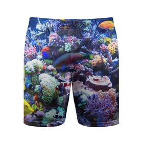 Мужские шорты спортивные с принтом Коралловые рыбки в Кировске,  |  | коралловые | кораллы | море | морские обитатели | океан | подводный мир | рыбки