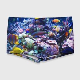 Мужские купальные плавки 3D с принтом Коралловые рыбки в Белгороде, Полиэстер 85%, Спандекс 15% |  | коралловые | кораллы | море | морские обитатели | океан | подводный мир | рыбки