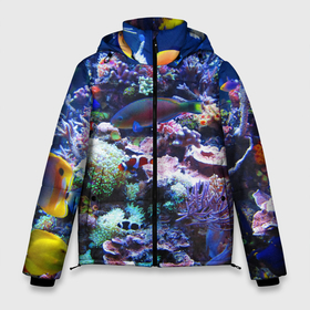Мужская зимняя куртка 3D с принтом Коралловые рыбки в Тюмени, верх — 100% полиэстер; подкладка — 100% полиэстер; утеплитель — 100% полиэстер | длина ниже бедра, свободный силуэт Оверсайз. Есть воротник-стойка, отстегивающийся капюшон и ветрозащитная планка. 

Боковые карманы с листочкой на кнопках и внутренний карман на молнии. | коралловые | кораллы | море | морские обитатели | океан | подводный мир | рыбки