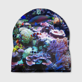 Шапка 3D с принтом Коралловые рыбки в Екатеринбурге, 100% полиэстер | универсальный размер, печать по всей поверхности изделия | коралловые | кораллы | море | морские обитатели | океан | подводный мир | рыбки
