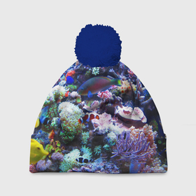 Шапка 3D c помпоном с принтом Коралловые рыбки , 100% полиэстер | универсальный размер, печать по всей поверхности изделия | коралловые | кораллы | море | морские обитатели | океан | подводный мир | рыбки