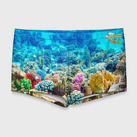 Мужские купальные плавки 3D с принтом Риф , Полиэстер 85%, Спандекс 15% |  | коралловый риф | полосатые рыбы | риф | рыбы | сказочный риф