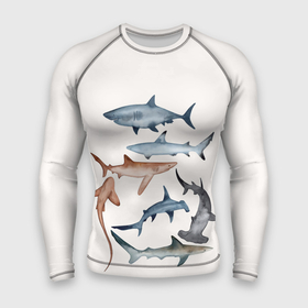 Мужской рашгард 3D с принтом акулы в Кировске,  |  | ocean | sea | sea animal | акулы | графика | море | океан | рисунок