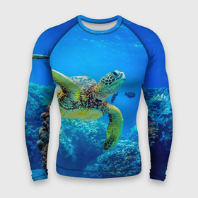 Мужской рашгард 3D с принтом Морская черепаха в Кировске,  |  | Тематика изображения на принте: морская черепаха | океан | подводный мир | черепаха