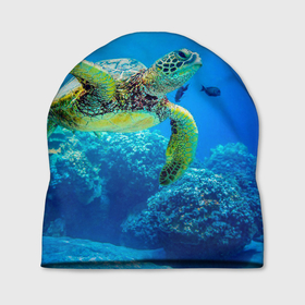 Шапка 3D с принтом Морская черепаха в Екатеринбурге, 100% полиэстер | универсальный размер, печать по всей поверхности изделия | морская черепаха | океан | подводный мир | черепаха
