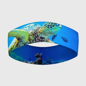 Повязка на голову 3D с принтом Морская черепаха в Курске,  |  | морская черепаха | океан | подводный мир | черепаха