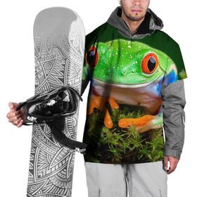 Накидка на куртку 3D с принтом Тропическая лягушка в Курске, 100% полиэстер |  | зеленая лягушка | лягушка | тропики