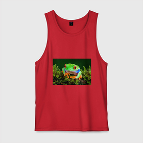 Мужская майка хлопок с принтом Тропическая лягушка в Курске, 100% хлопок |  | зеленая лягушка | лягушка | тропики