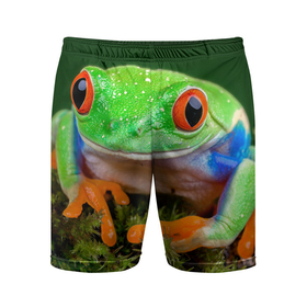 Мужские шорты спортивные с принтом Тропическая лягушка в Белгороде,  |  | зеленая лягушка | лягушка | тропики