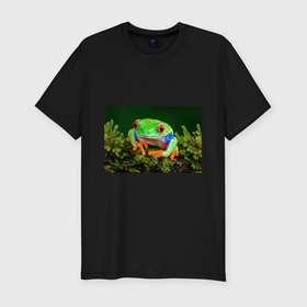 Мужская футболка хлопок Slim с принтом Тропическая лягушка , 92% хлопок, 8% лайкра | приталенный силуэт, круглый вырез ворота, длина до линии бедра, короткий рукав | зеленая лягушка | лягушка | тропики