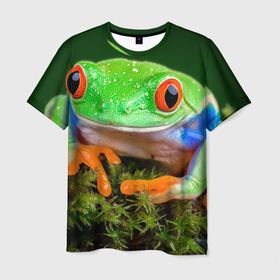 Мужская футболка 3D с принтом Тропическая лягушка в Тюмени, 100% полиэфир | прямой крой, круглый вырез горловины, длина до линии бедер | зеленая лягушка | лягушка | тропики